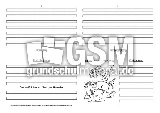 Hamster-Faltbuch-vierseitig-3.pdf